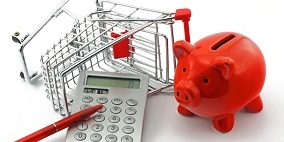 sparschwein mit einkaufswagen