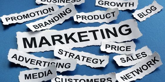 pasos marketing pasos marketing