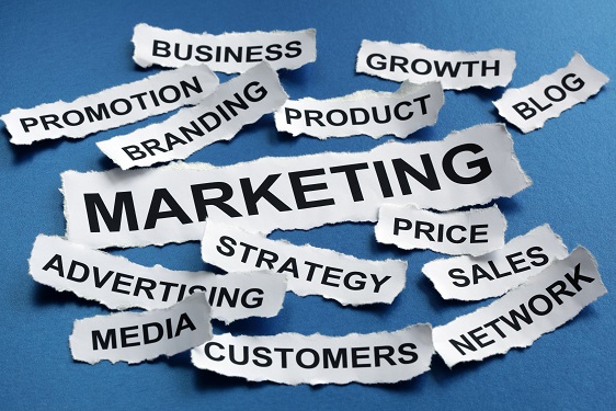 pasos marketing pasos marketing